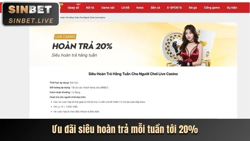 Hỗ trợ khách hàng và FAQ sun20 chính thức